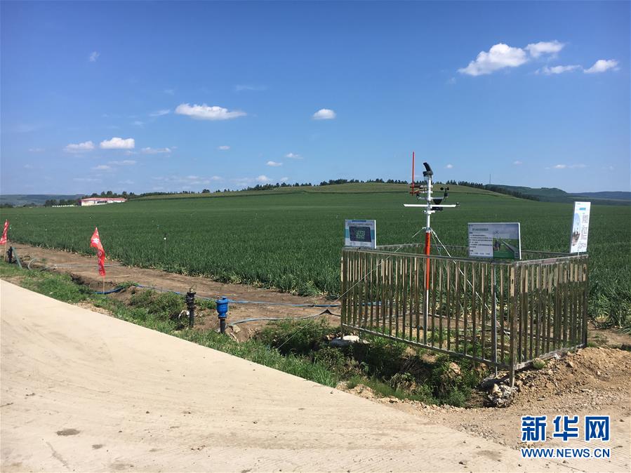 (在習(xí)近平新時(shí)代中國(guó)特色社會(huì)主義思想指引下——新時(shí)代新作為新篇章·圖文互動(dòng))(3)牡丹江:小果蔬透著三種“范兒”