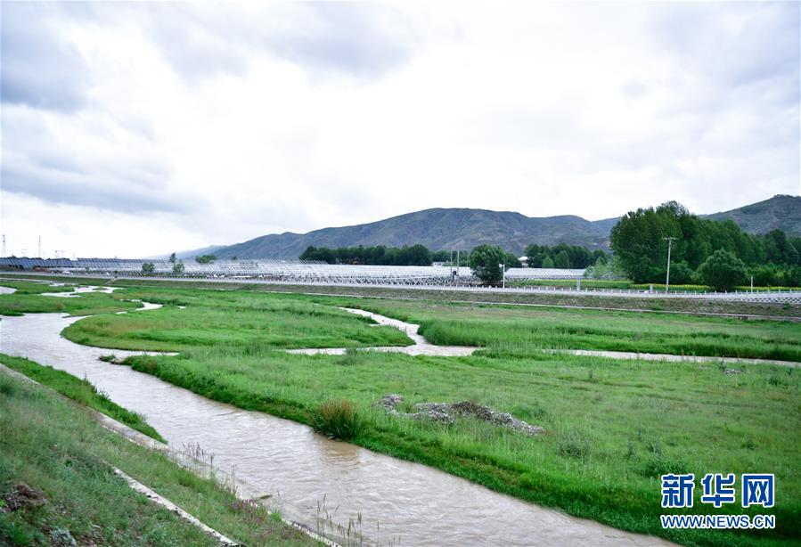 （圖文互動(dòng)）（4）青?；ブ核妥呶鬯瓉?lái)碧波