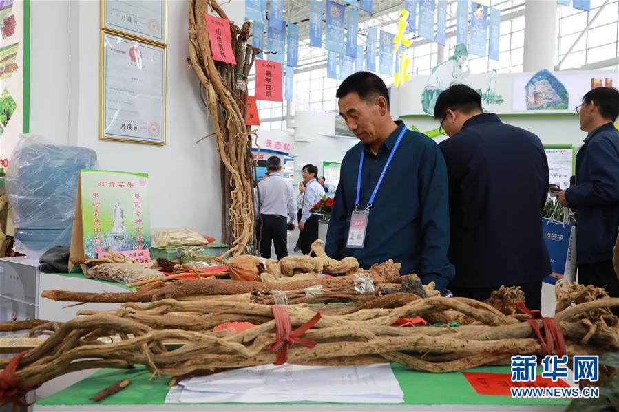 (來自一線的調(diào)查報告·圖文互動)(1)甘肅:岐黃肇始地 振興開新方