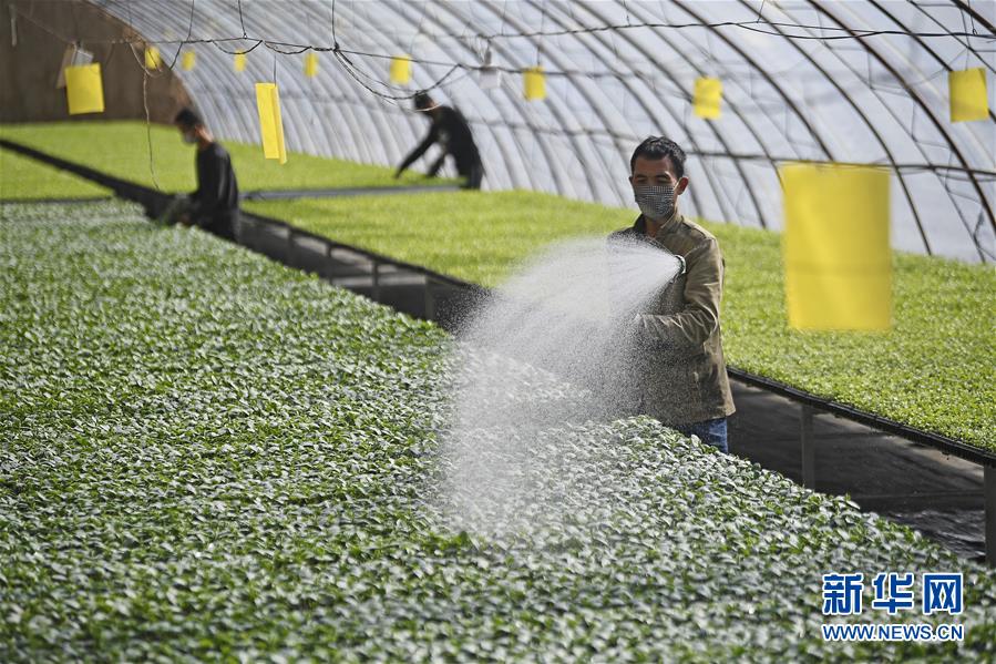 (新華全媒頭條·圖文互動)(12)磨難壓不垮 奮起正當(dāng)時——習(xí)近平總書記在統(tǒng)籌推進(jìn)新冠肺炎疫情防控和經(jīng)濟(jì)社會發(fā)展工作部署會議上的重要講話振奮人心凝聚力量