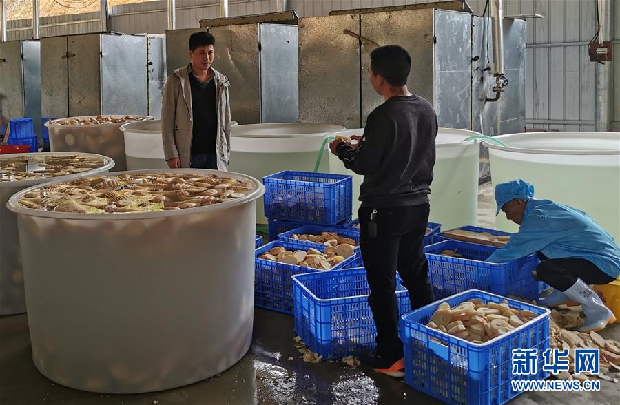 （決戰(zhàn)決勝脫貧攻堅&middot;圖文互動）掛牌督戰(zhàn)，一個都不能少&mdash;&mdash;江西確保剩余9.6萬貧困人口全部脫貧
