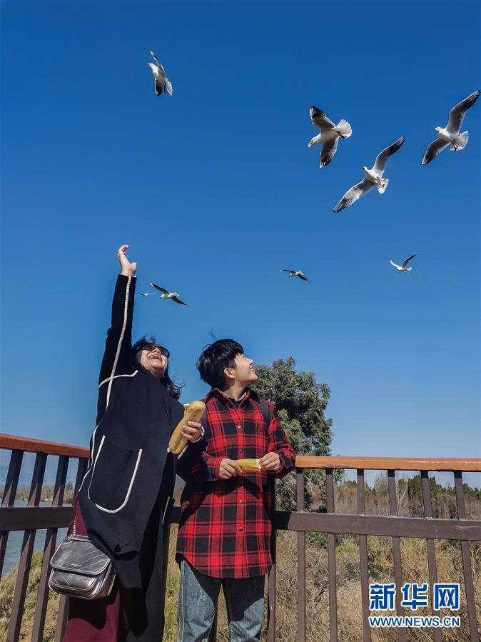 （一線抗疫群英譜&middot;圖文互動(dòng)）（1）大學(xué)生志愿者譚藝西：在武漢，我和媽媽共戰(zhàn)&ldquo;疫&rdquo;