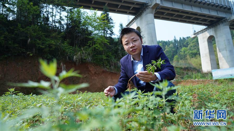 （決戰(zhàn)決勝脫貧攻堅&middot;圖文互動）（2）扶貧路上三人行