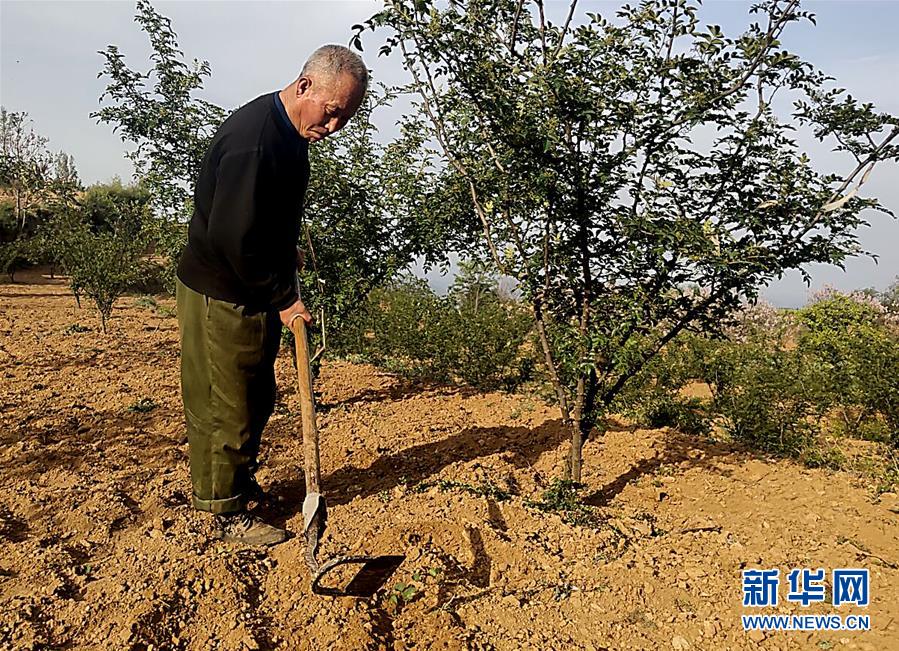 （新華全媒頭條&middot;圖文互動）（4）春天里的5個(gè)&ldquo;戰(zhàn)貧&rdquo;瞬間&mdash;&mdash;習(xí)近平總書記關(guān)于脫貧攻堅(jiān)決策部署指引攻克最后的深貧堡壘