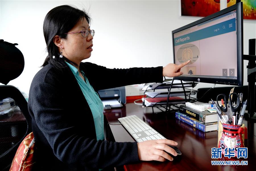 （圖文互動）（1）攻擊行為如何被大腦控制？科學(xué)家在小鼠大腦中發(fā)現(xiàn)&ldquo;調(diào)節(jié)開關(guān)&rdquo;