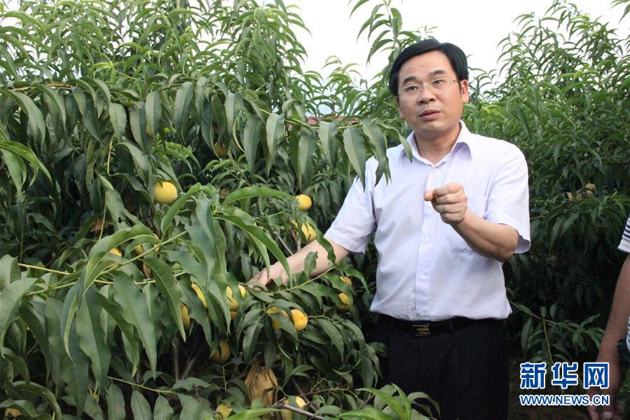 （圖文互動(dòng)）（2）&ldquo;為脫貧而來(lái)，為脫貧而去&rdquo;&mdash;&mdash;追記湖南炎陵縣委原書記黃詩(shī)燕 