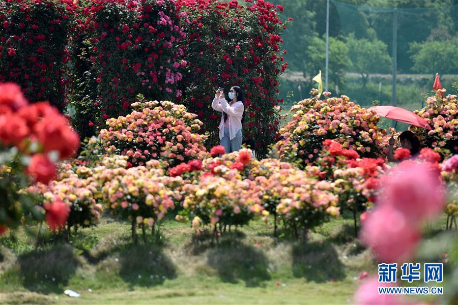 #(社會(huì))(11)樂享“五一”假期