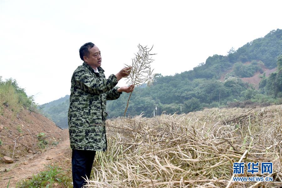 （代表委員履職&middot;圖文互動）（1）&ldquo;我是農(nóng)民代表，始終關(guān)注農(nóng)村&rdquo;&mdash;&mdash;全國人大代表沈昌健的履職故事