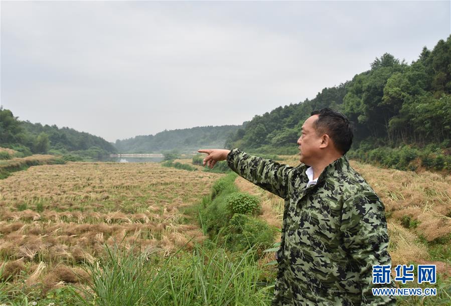 （代表委員履職&middot;圖文互動）（2）&ldquo;我是農(nóng)民代表，始終關(guān)注農(nóng)村&rdquo;&mdash;&mdash;全國人大代表沈昌健的履職故事