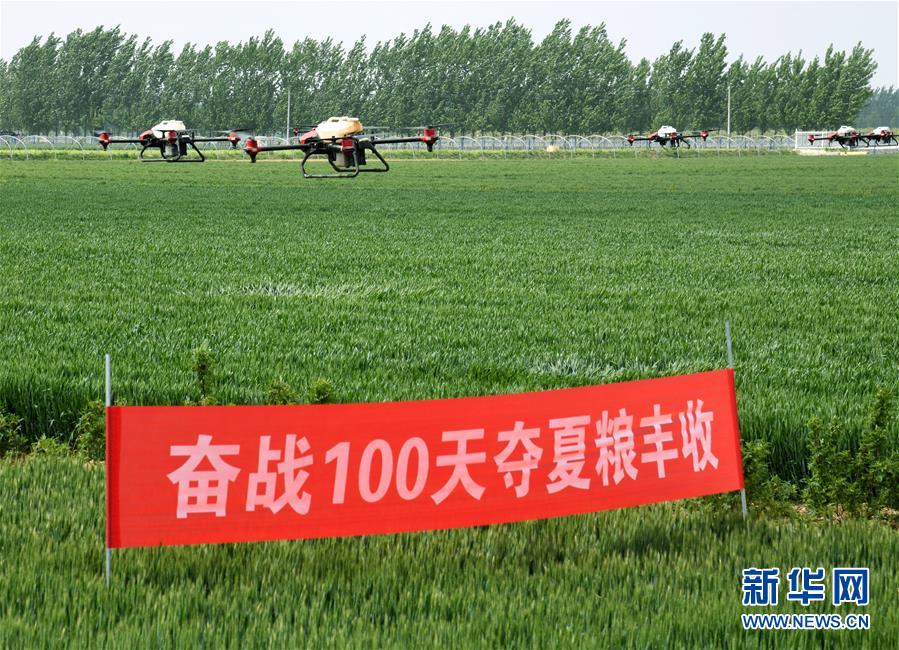 （在習(xí)近平新時(shí)代中國特色社會(huì)主義思想指引下&mdash;&mdash;新時(shí)代新作為新篇章&middot;習(xí)近平總書記關(guān)切事&middot;圖文互動(dòng)）（9）新農(nóng)事、新希望&mdash;&mdash;夏收前田間新動(dòng)態(tài)掃描