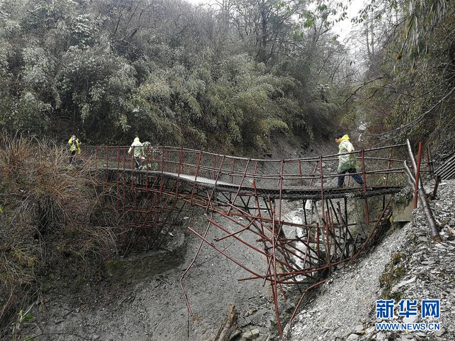 (圖文互動)(3)風雪臥龍話熊貓