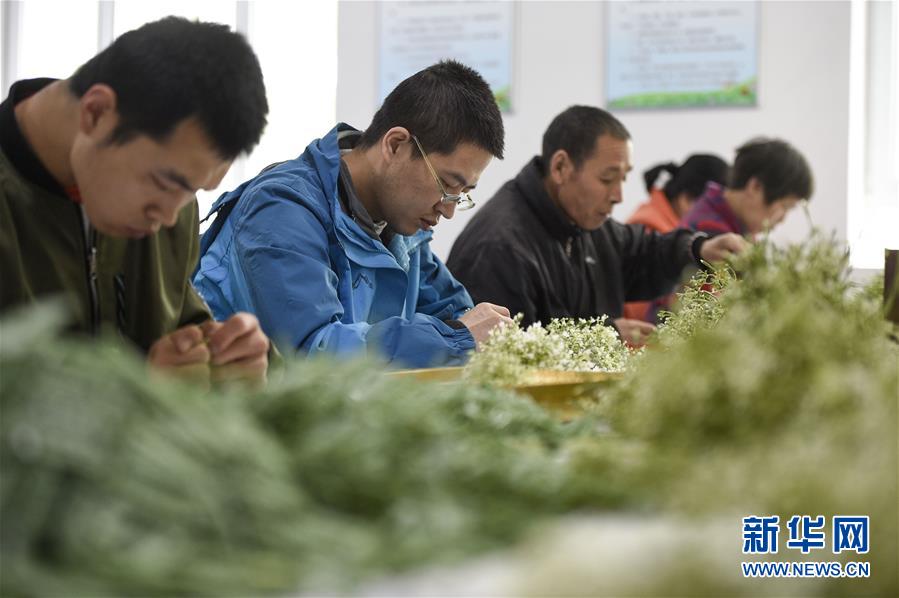 (在習近平新時代中國特色社會主義思想指引下——新時代新作為新篇章·習近平總書記關(guān)切事·圖文互動)(5)六盤山下的誓言——來自寧夏的脫貧故事