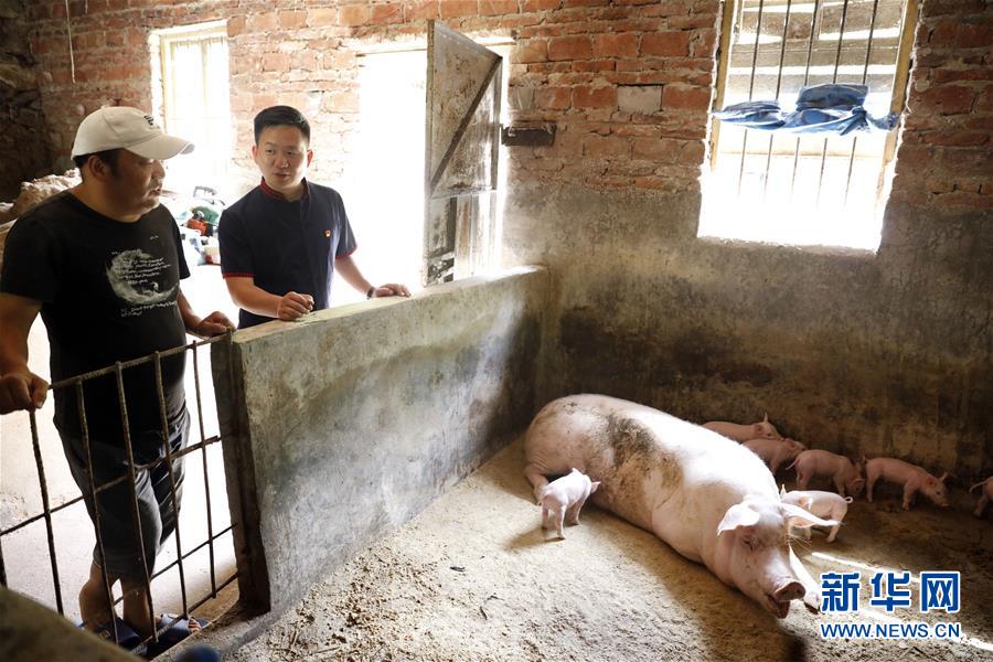 (新華全媒頭條·圖文互動(dòng))(1)基層天地廣闊 青春大有作為——聚焦“三支一扶”計(jì)劃實(shí)施十五年