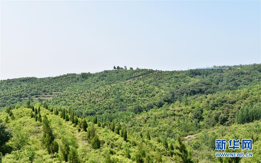 (決戰(zhàn)決勝脫貧攻堅·圖文互動)(1)“愚公”治山