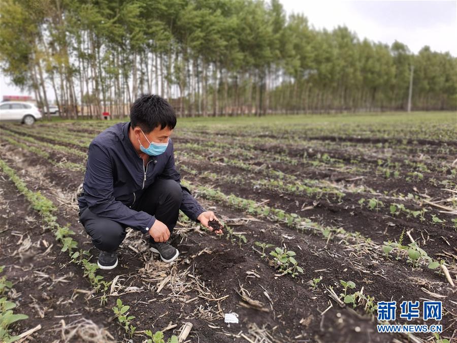 (在習(xí)近平新時代中國特色社會主義思想指引下——新時代新作為新篇章·習(xí)近平總書記關(guān)切事·圖文互動)(6)讓每一寸耕地都成為豐收的沃土——我國加強耕地保護推進“藏糧于地”