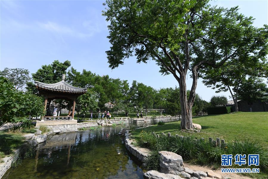 (新華全媒頭條·圖文互動(dòng))(9)老胡同里的新生活——北京老城探訪記