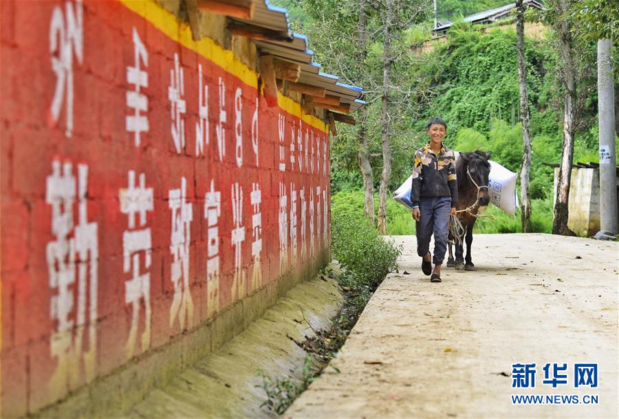 （新華全媒頭條&middot;決戰(zhàn)決勝脫貧攻堅&middot;督戰(zhàn)未摘帽貧困縣&middot;圖文互動）（6）苦蕎花開大涼山&mdash;&mdash;四川7個未摘帽縣脫貧攻堅一線觀察