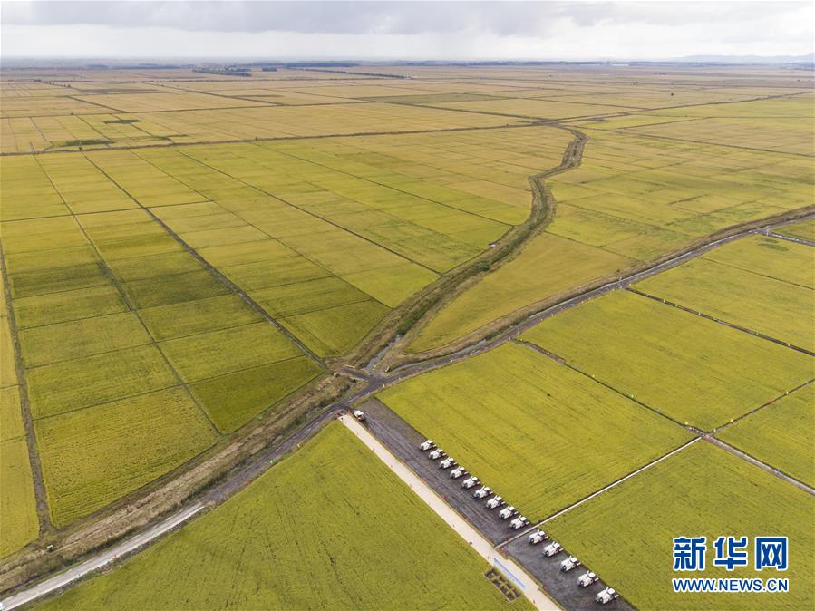 (新華全媒頭條·圖文互動(dòng))(2)天道酬勤的大地贊歌——寫在第三個(gè)中國(guó)農(nóng)民豐收節(jié)之際