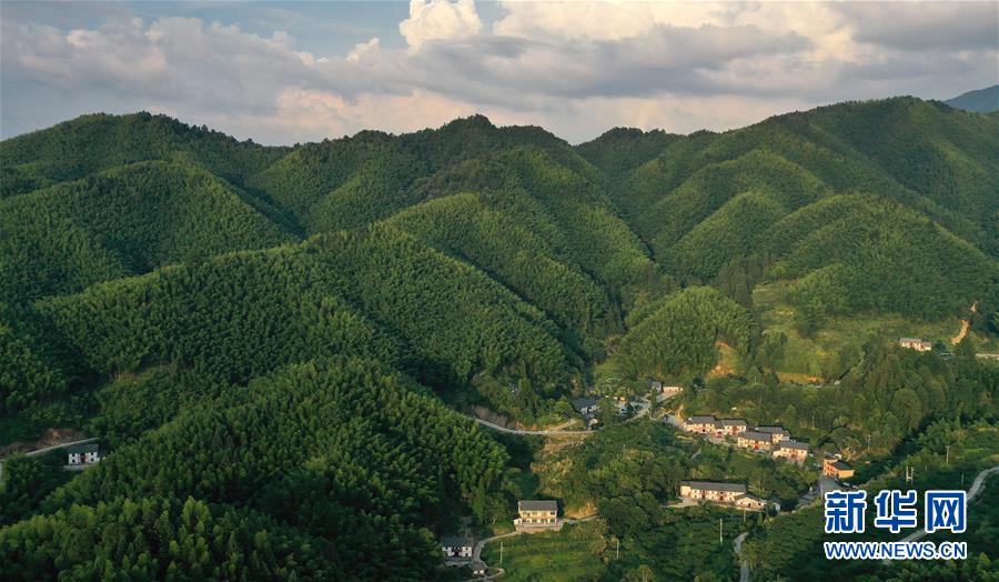 （新華全媒頭條&middot;走向我們的小康生活&middot;圖文互動）（2）神山村&ldquo;神奇&rdquo;何在？&mdash;&mdash;井岡山深處覓答案