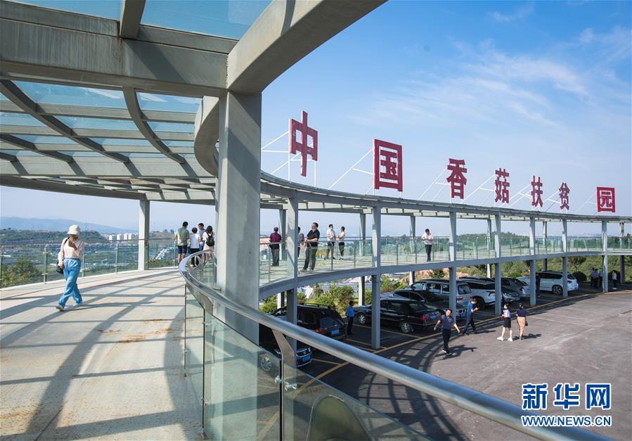 （新華全媒頭條&middot;走向我們的小康生活&middot;圖文互動(dòng)）（2）特殊之年，荊楚大地書寫不平凡的答卷