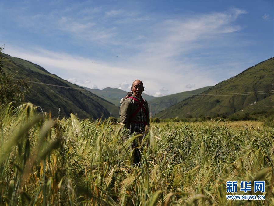 （新華全媒頭條&middot;圖文互動(dòng)）（6）命運(yùn)的轉(zhuǎn)折&mdash;&mdash;寫(xiě)在四川甘孜藏族自治州建州70年之際