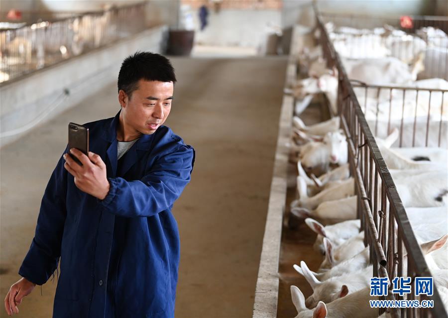 （新華全媒頭條&middot;五中全會(huì)精神在基層&middot;圖文互動(dòng)）（12）奮發(fā)新青年　逐夢(mèng)新征程&mdash;&mdash;各地青年學(xué)習(xí)貫徹落實(shí)五中全會(huì)精神觀察