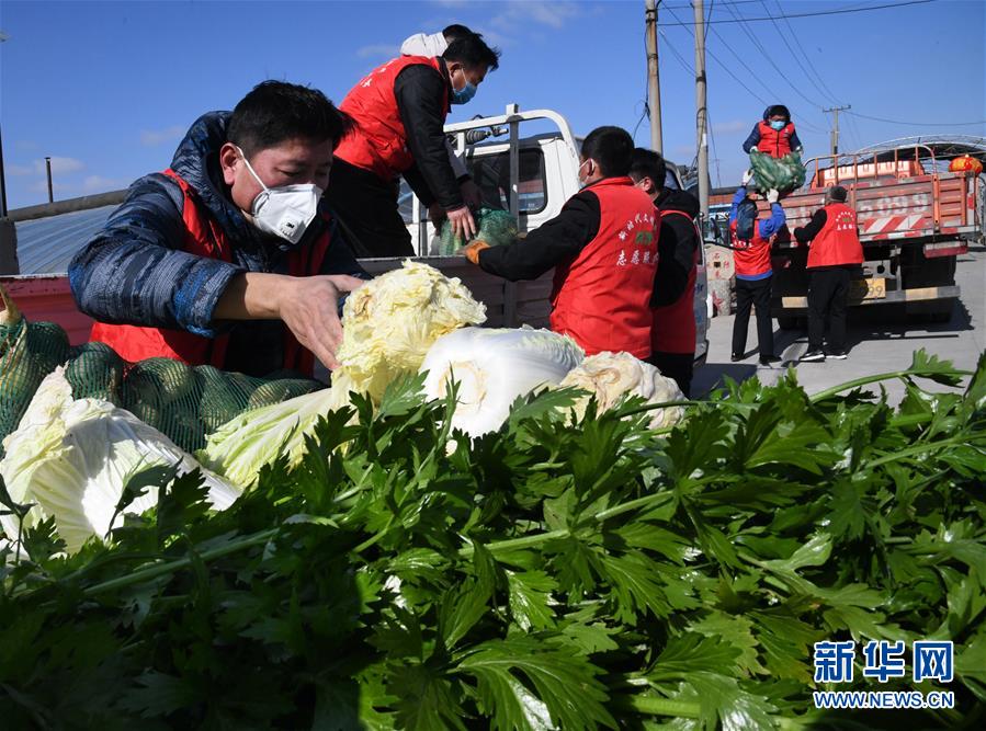 (在習(xí)近平新時(shí)代中國特色社會(huì)主義思想指引下——新時(shí)代新作為新篇章·習(xí)近平總書記關(guān)切事·圖文互動(dòng))(2)“菜籃子”里的力量——全國各地努力做好保障和改善民生工作在行動(dòng)