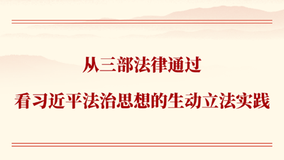 從三部法律通過看習近平法治思想的生動立法實踐