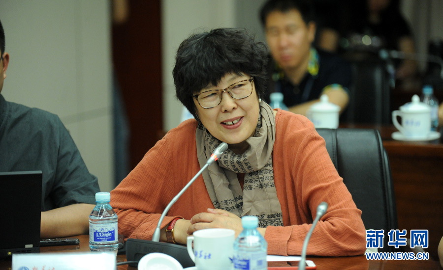 陳小波：新華人對歷史的擔(dān)當(dāng)、情感與良知