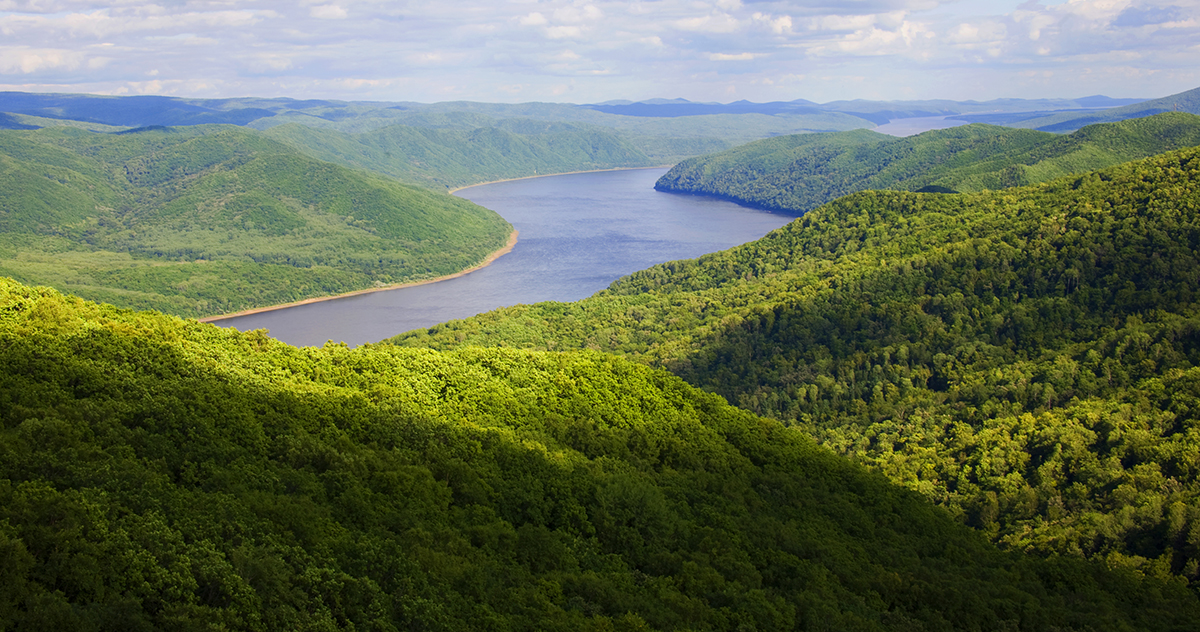 張建龍：&ldquo;三北工程&rdquo;實現(xiàn)生態(tài)、經濟、社會效益&ldquo;多贏&rdquo;