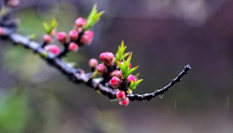隨心而行，走走停停始終精彩。