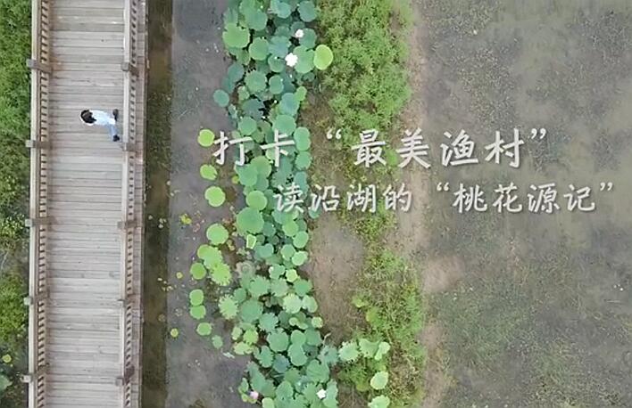 打卡&ldquo;最美漁村&rdquo; 讀沿湖&ldquo;桃花源記&rdquo;