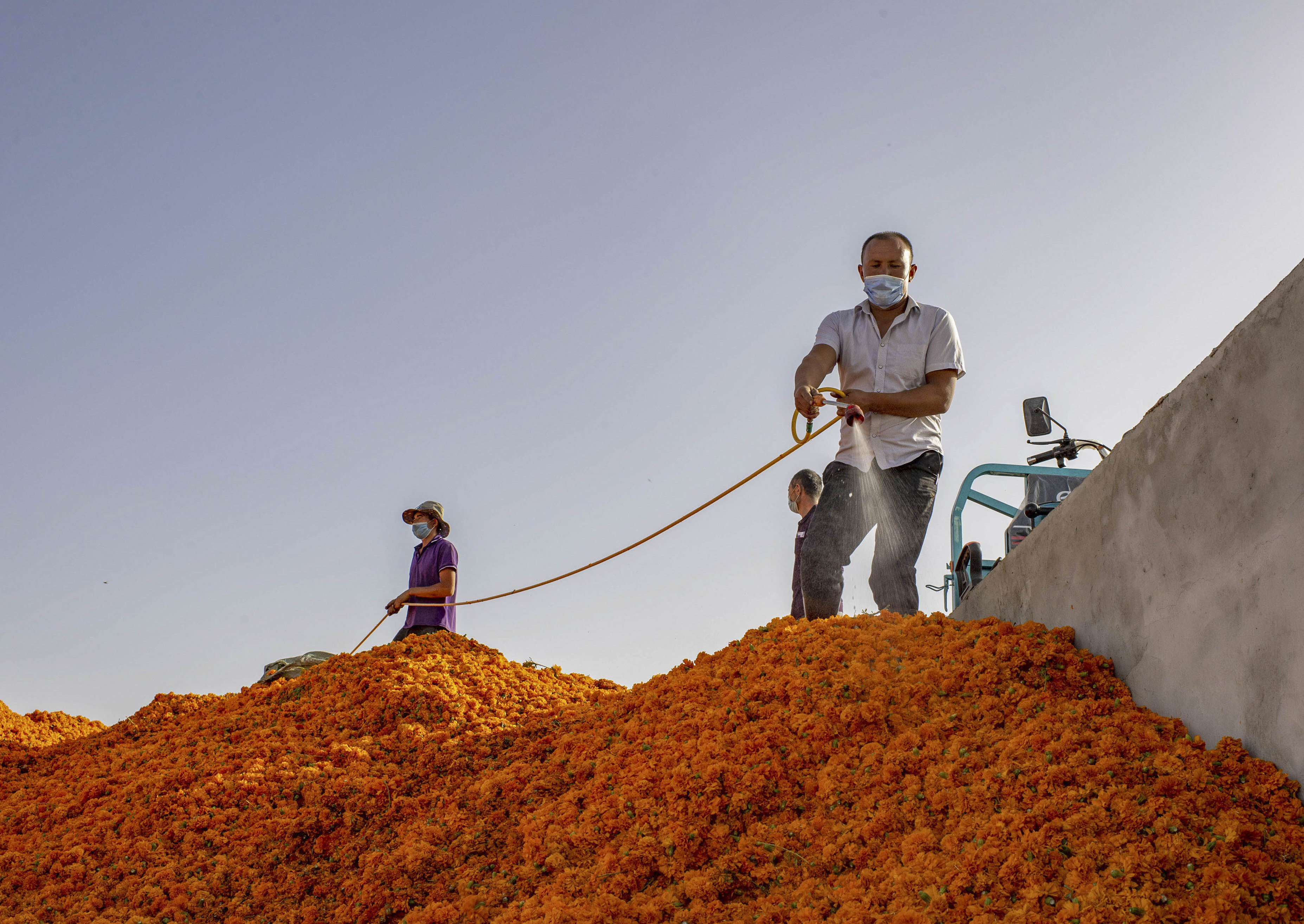 脫貧靠雙手&mdash;&mdash;新疆和田地區(qū)未摘帽縣就業(yè)見聞