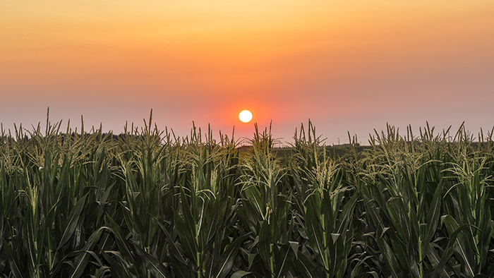 風(fēng)卷紅旗過(guò)大關(guān)&mdash;&mdash;以習(xí)近平同志為核心的黨中央領(lǐng)航中國(guó)為實(shí)現(xiàn)第一個(gè)百年奮斗目標(biāo)而奮勇拼搏紀(jì)實(shí)