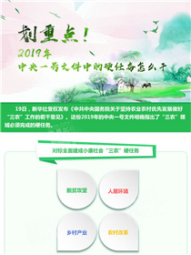 劃重點(diǎn)！2019年中央一號(hào)文件中的硬任務(wù)怎么干