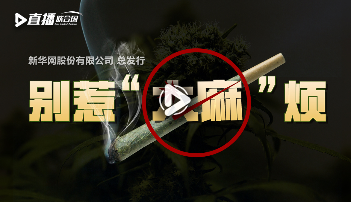 《直播聯(lián)合國(guó)》第三十集：別惹&ldquo;大麻&rdquo;煩