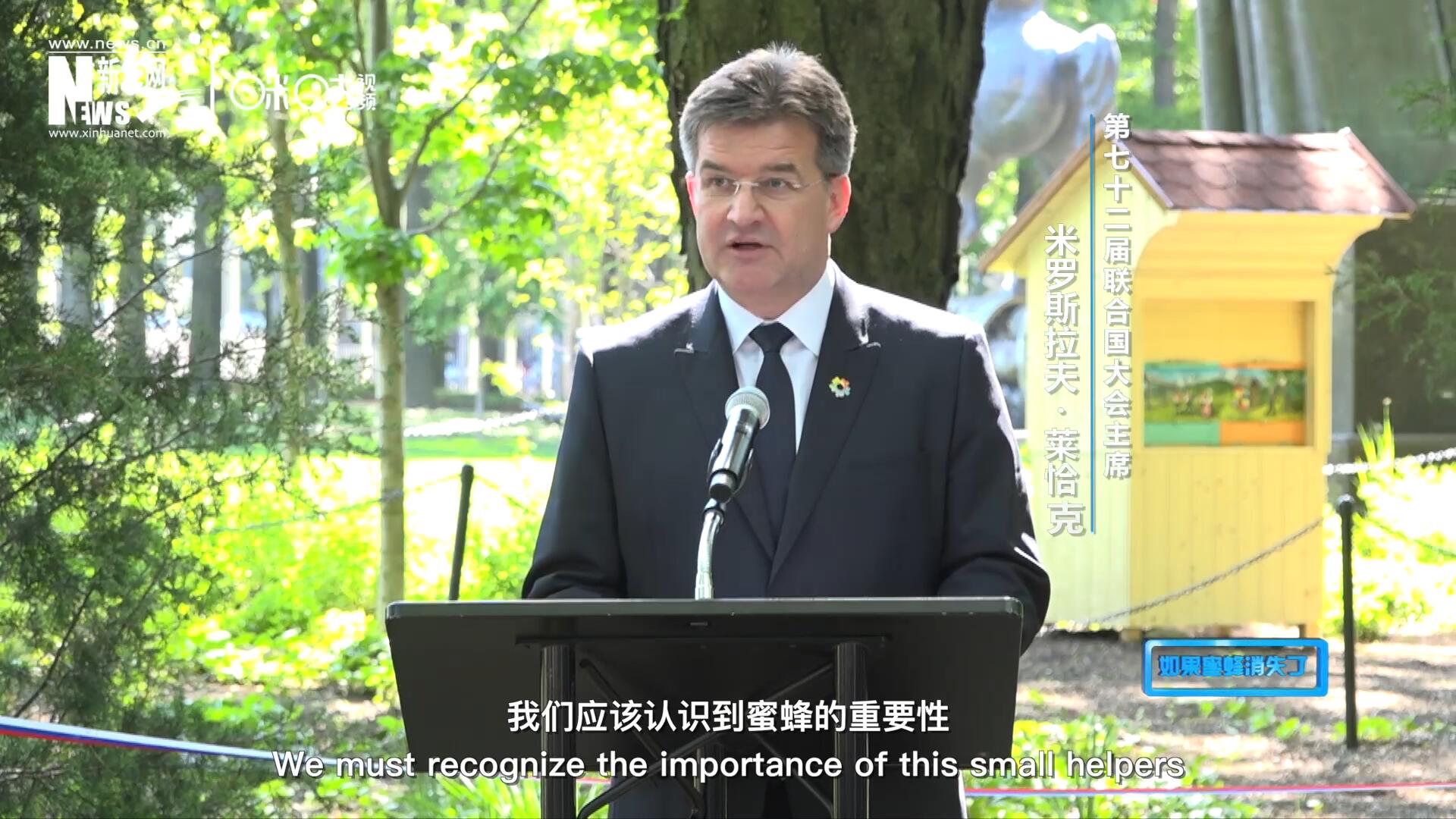 我們應該認識到蜜蜂的重要性，所以我們用&ldquo;世界蜜蜂日&rdquo;提高大家保護蜜蜂的意識，并且用實際行動去保護蜜蜂