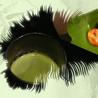 熱茶與伏天的關系，只有清涼