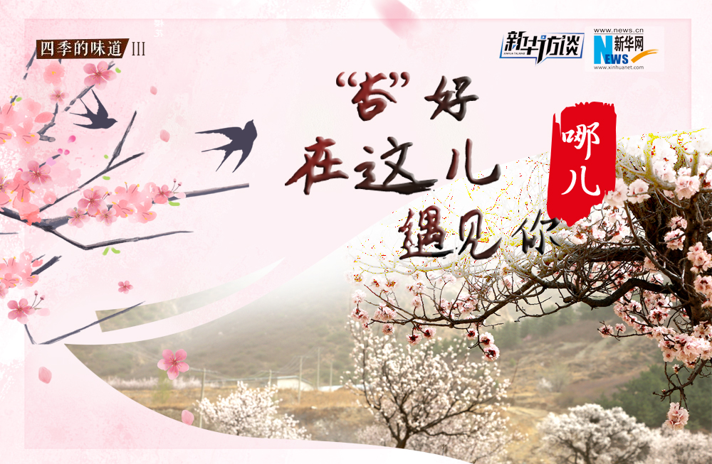 哪兒？&ldquo;杏&rdquo;好在這兒遇見你！