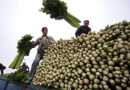 劉永富：發(fā)展產(chǎn)業(yè)脫貧仍是精準(zhǔn)扶貧、精準(zhǔn)脫貧主攻方向