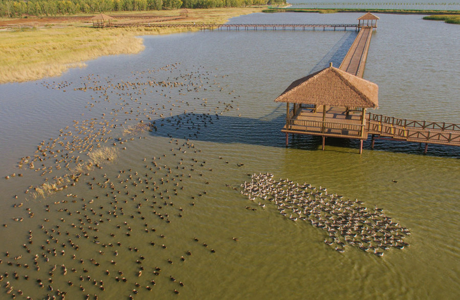 新華微評&middot;學習路上：生態(tài)興，百業(yè)旺