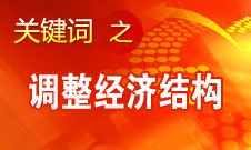 張平：轉變經(jīng)濟發(fā)展方式最重要的是要調整經(jīng)濟結構