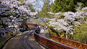 大陸對臺(tái)企臺(tái)胞送出&ldquo;大禮包&rdquo; 國臺(tái)辦：開放力度大前所未有