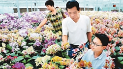 臺(tái)商眼中的改革開放：風(fēng)景這邊獨(dú)好 要去，要去，要去！