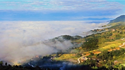 臺(tái)胞臺(tái)商熱議陜西惠臺(tái)&ldquo;60條&rdquo;：期盼落實(shí)、共享機(jī)遇