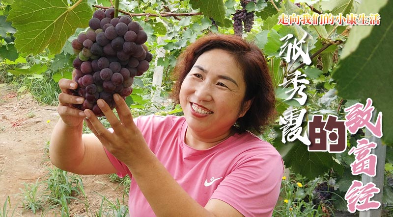 張秀霞的&ldquo;致富經(jīng)&rdquo;