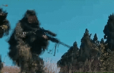 突入，擊斃！直擊武警特戰(zhàn)反劫持演練！