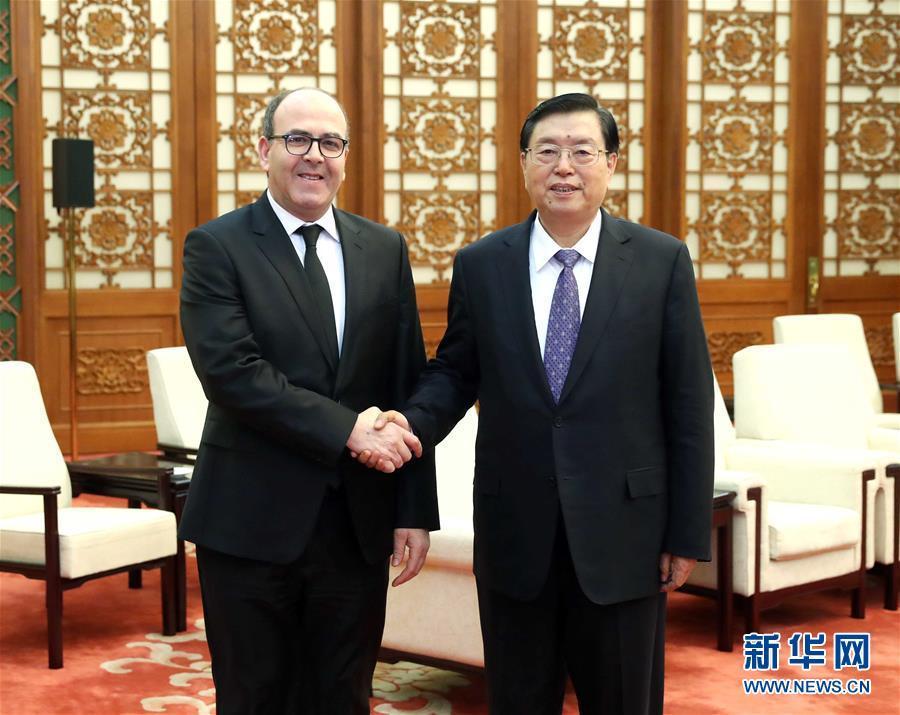 12月20日，全國(guó)人大常委會(huì)委員長(zhǎng)張德江在北京人民大會(huì)堂會(huì)見(jiàn)摩洛哥參議長(zhǎng)本希馬。新華社記者劉衛(wèi)兵攝