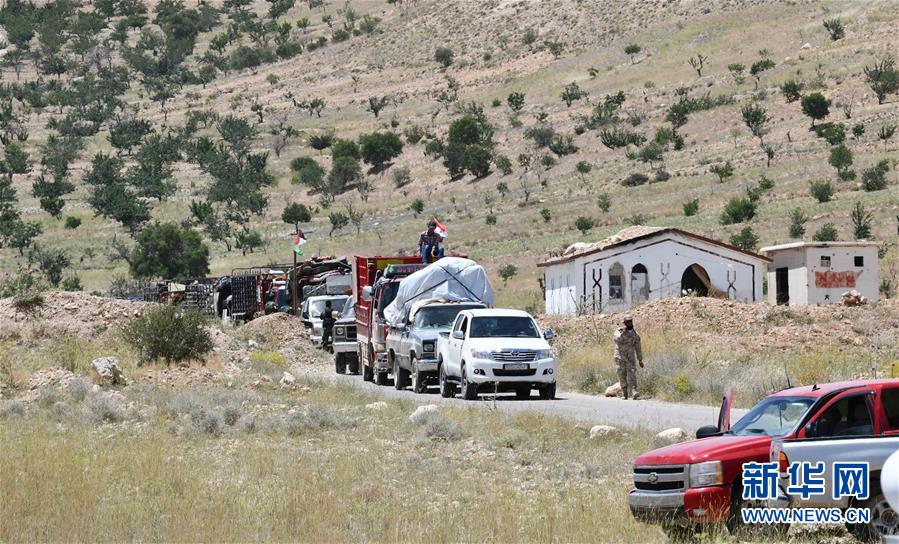 （國際&middot;圖文互動）（5）歸鄉(xiāng)，不再流浪&mdash;&mdash;記敘利亞難民返鄉(xiāng)