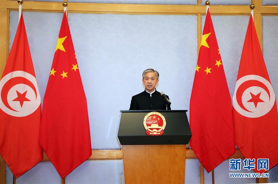 (XHDW·圖文互動)(2)五湖迎亥歲 四海賀新春——我駐外使領館舉辦新春招待會喜迎農(nóng)歷新年